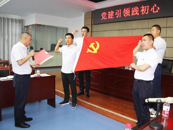 牢記責(zé)任使命，永葆入黨初心 ——新能源公司黨支部開展慶“七一”活動(dòng)