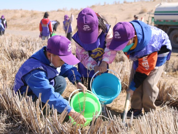甘肅建投新能源公司沙漠研學(xué)旅行基地舉辦“我與小樹共成長，爭做護(hù)綠小使者”主題研學(xué)活動