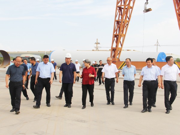武威市委副書記、市長(zhǎng)馬秀蘭一行調(diào)研甘肅建投新能源公司
