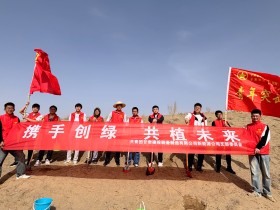 甘肅建投新能源公司團支部開展 “美麗甘肅˙青春行動”義務植樹活動